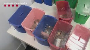 1624095670683_656x370