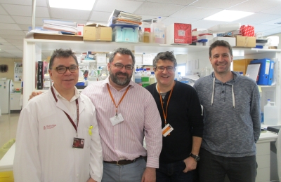 180417-Estudi-IDIBELL-ICO-cancer-testicle.jpg_1475043983