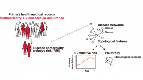 181107-Morbiditat.png_1238899278