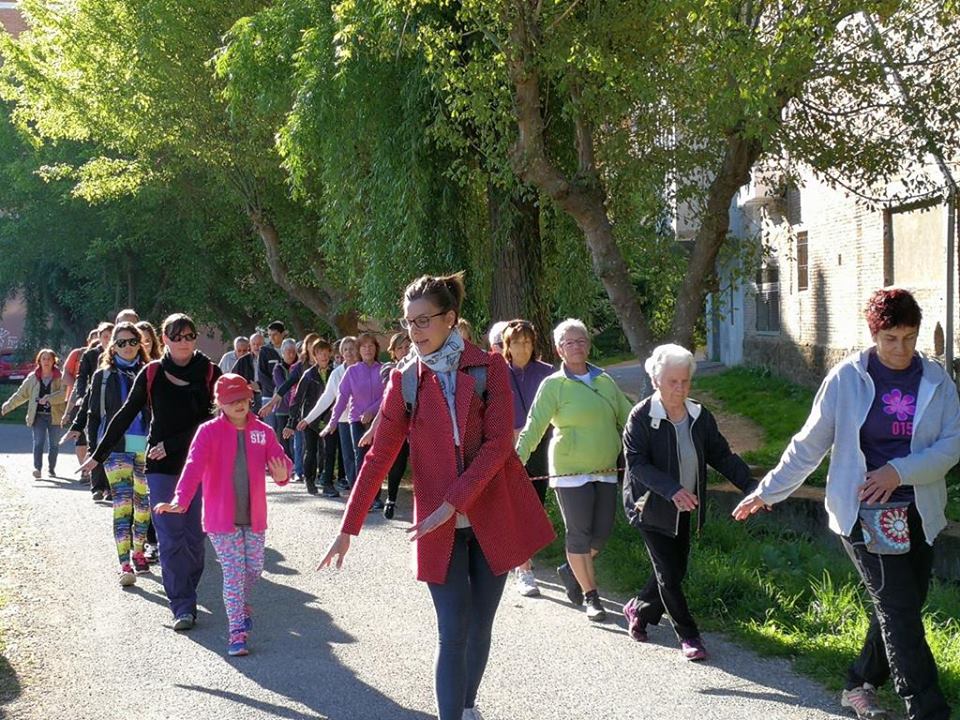 18581783_1754906201192698_452809310788697553_n