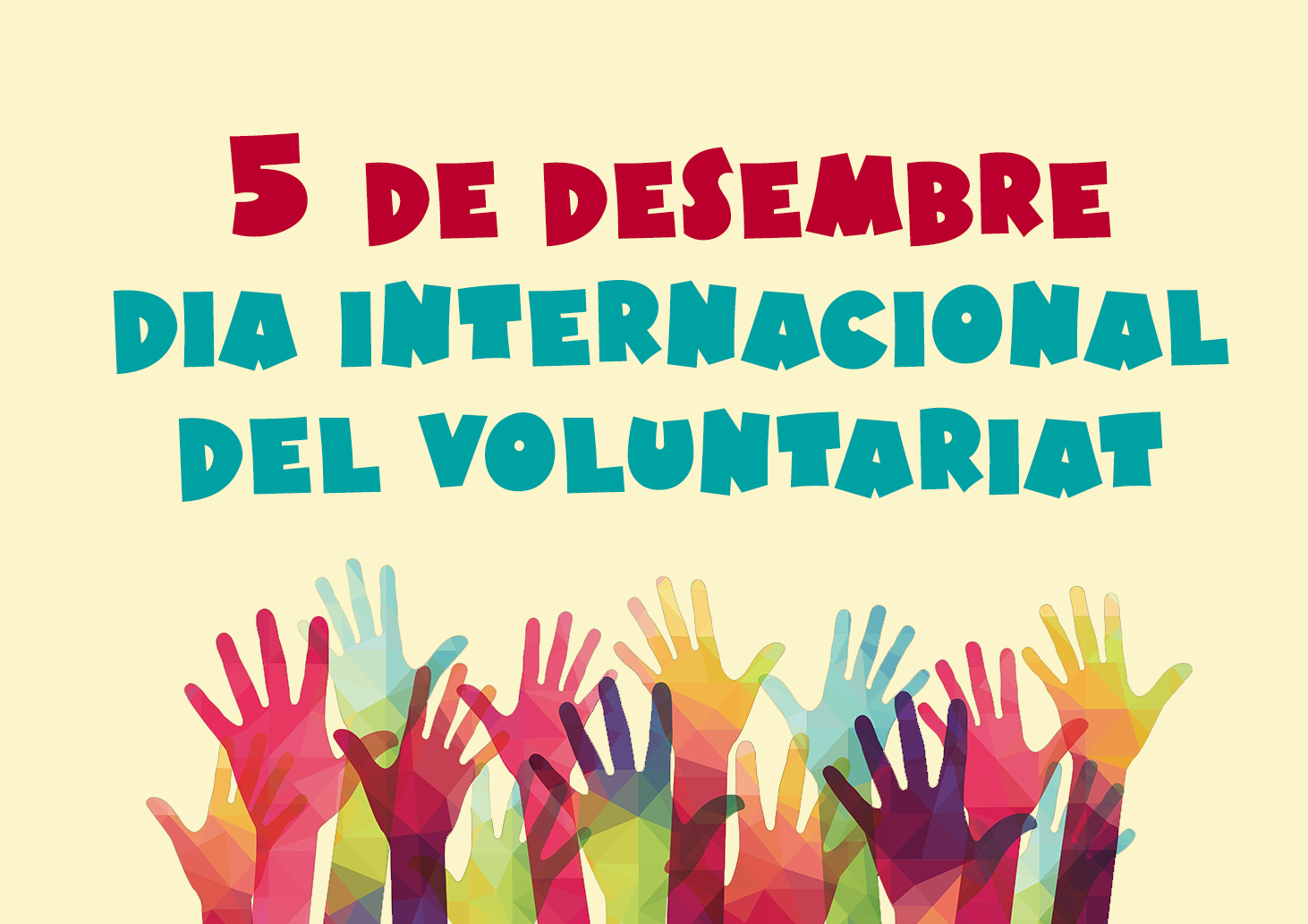 5DVOLUNTARIATPORTADA