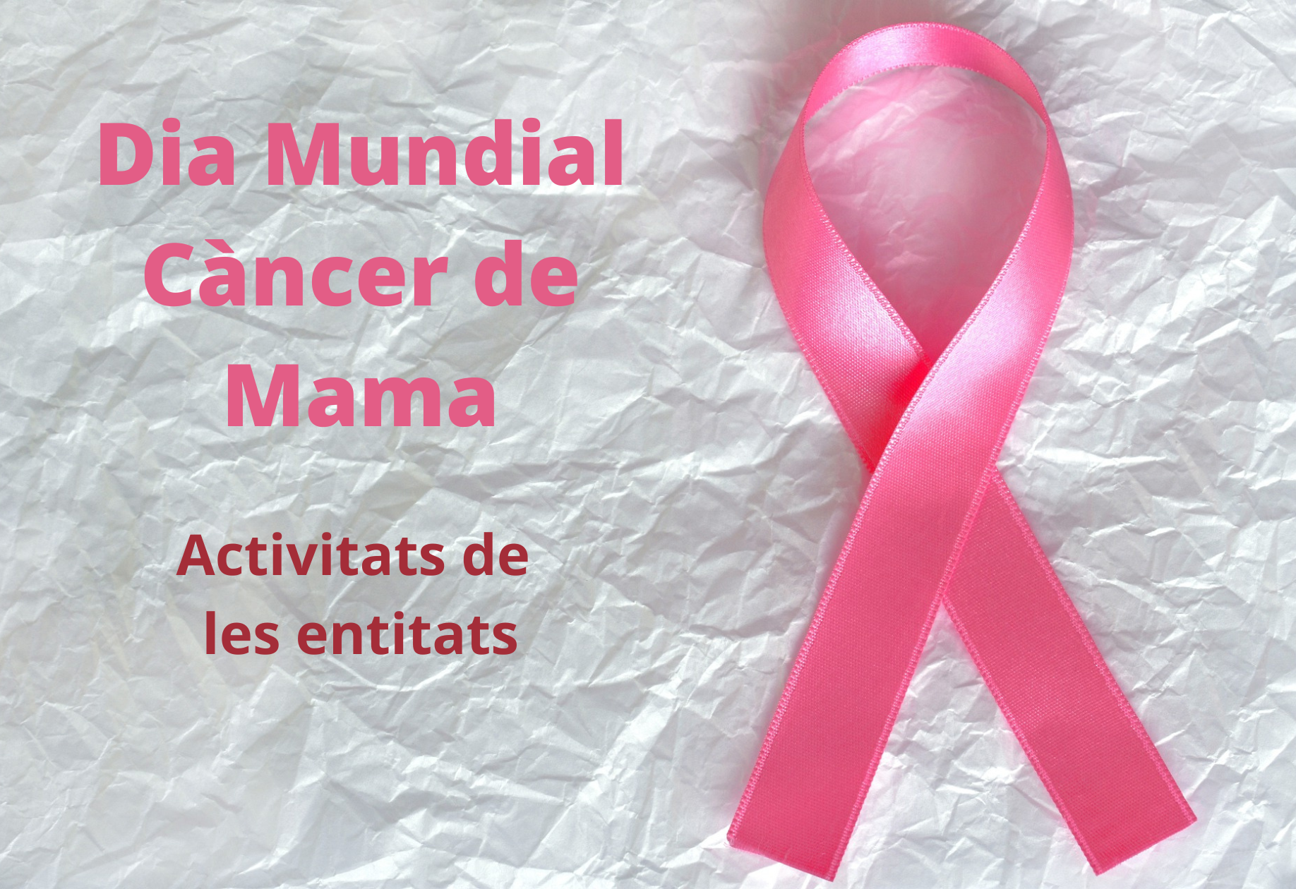 Dia Mundial Càncer de Mama