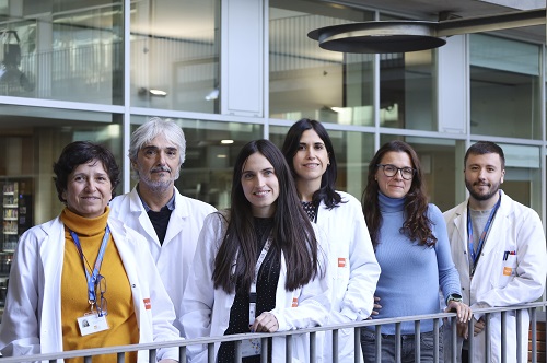 Equip_estudi_leucemia_limfoblastica_aguda_web
