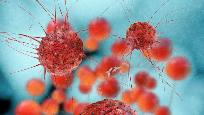 IDIBELL-metabolisme-cellules-canceroses-creixement_2197590320_61200873_651x366