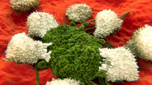 Illustracio-cellules-sistema-immunitari-cancerosa_1954614542_50775534_651x366