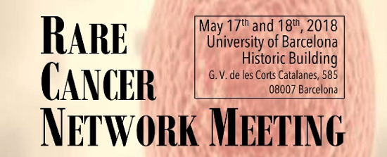 Rare_cancer_Network_Meeting_IMATGE.jpg_1416486985