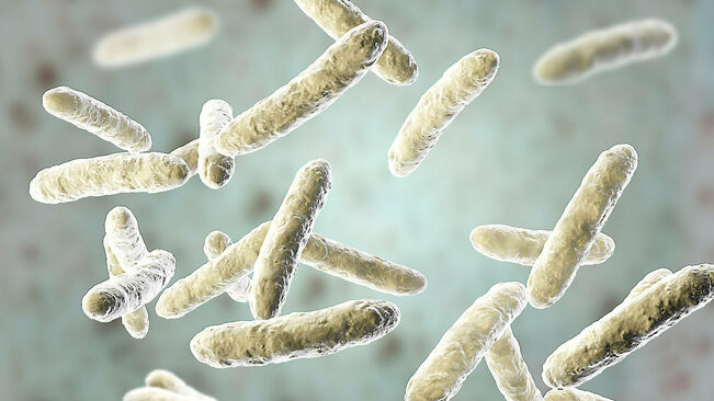 Recreacio-microbiota-microorganismes-que-imprescindibles_2256984371_63711965_651x366