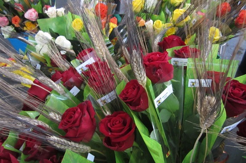 Roses