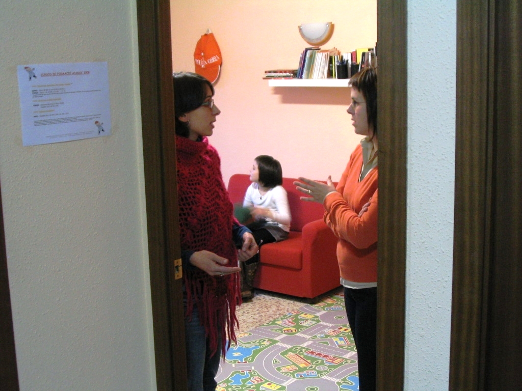 Voluntariat a Domicili