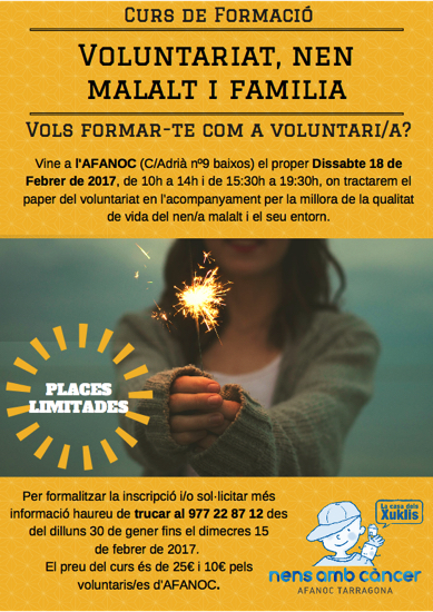 cartell curs voluntariat