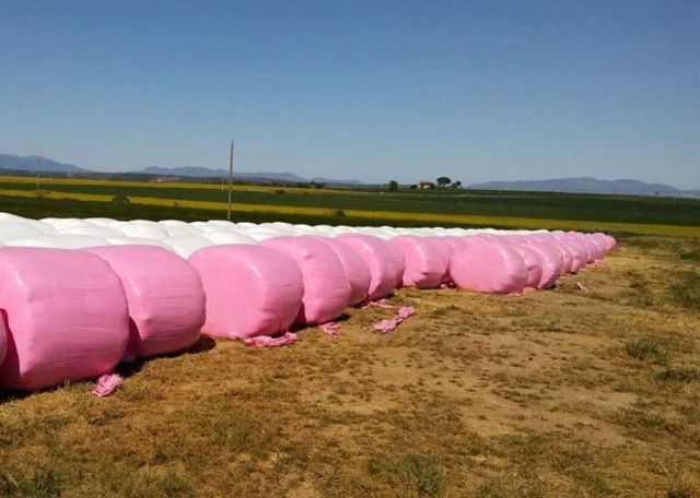 embalatges-rosa-cooperativa-agricola