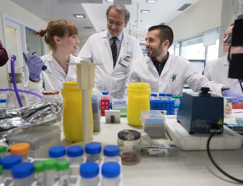 El doctor Josep Maria Llovet entre altres investigadors de l’Idibaps, ahir al matí EFE.