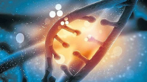 fraccio-cellules-resistents-eliminar-facilment_ARAIMA20150502_0204_45