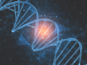 genetica-210414.jpg_2104194538