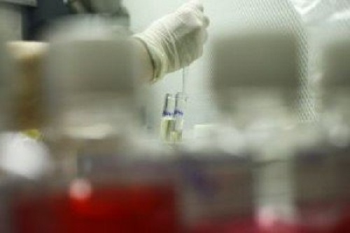 Nous gens per combatre el càncer d'ovari