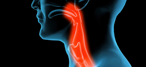 head_neck-864x400_c