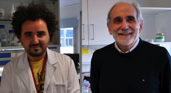 image_content_213906_20170630131843