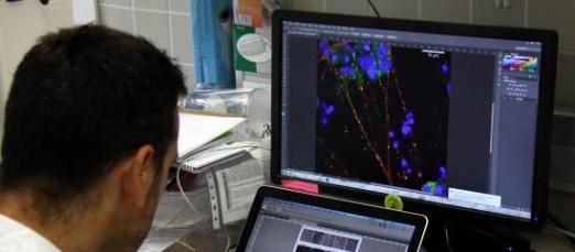 institut josep carreras