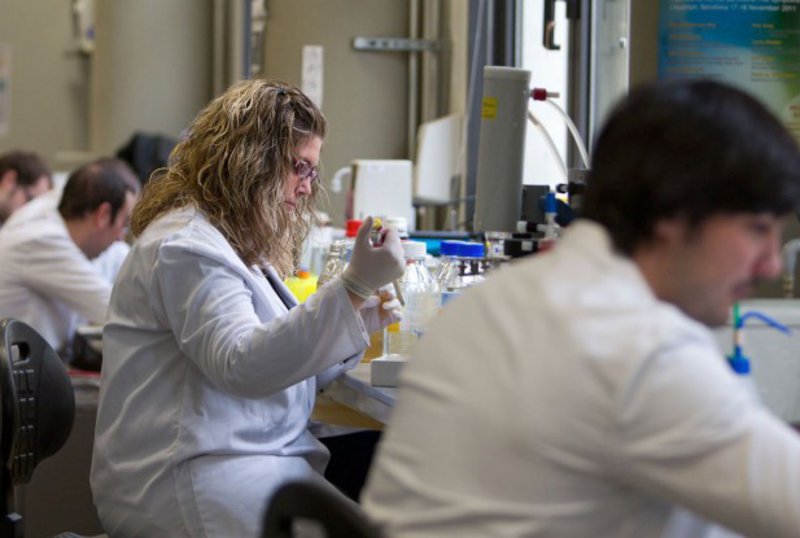 Investigadors de l’IRB determinen per primera vegada les alteracions genètiques causades per les quimioteràpies IRB.
