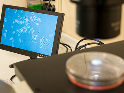 recerca-200716.jpg_393821399