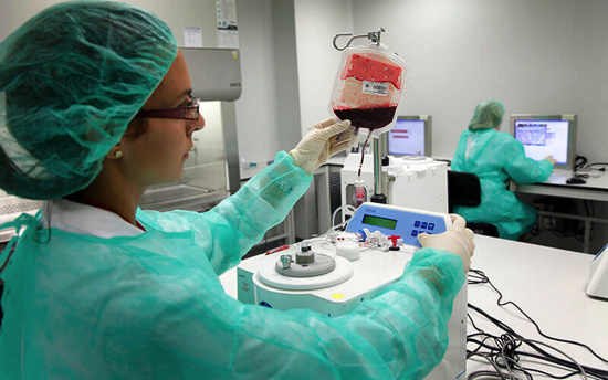 sang-de-cordó_donants-medul.la_-800x500