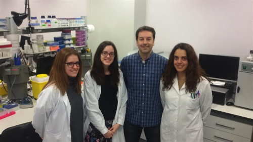 terapia cel·lular cancer