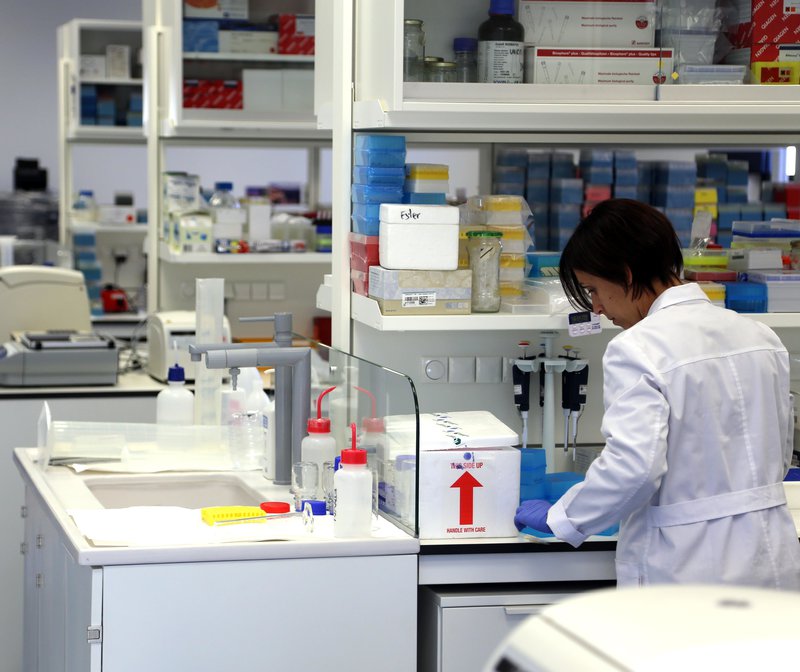 Personal treballant al laboratori de l’Institut d’Investigació Biomèdica de Girona, en una imatge d’arxiu QUIM PUIG.