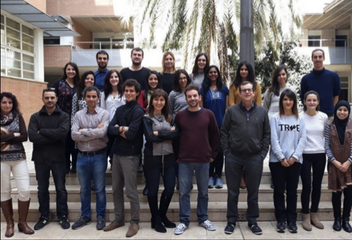 universitat rovira virgili investigacio llet