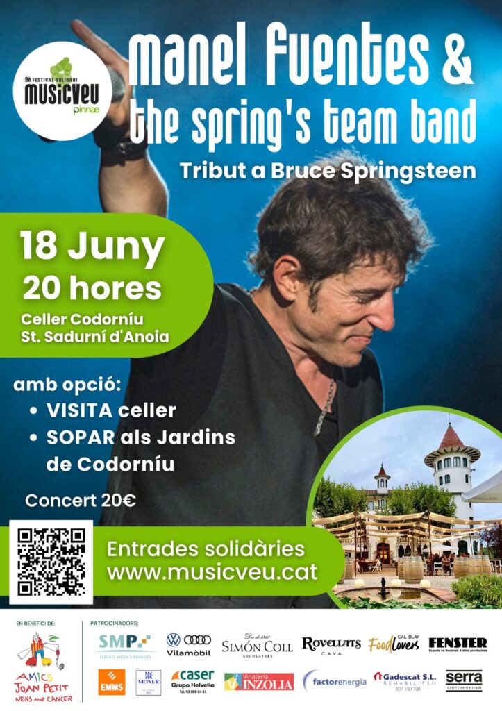manel-fuentes-music-veu
