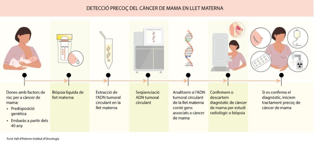 Gràfic biòpsia llet materna